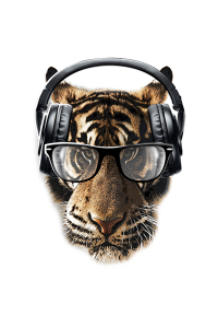 Transfer Freaky Tiger 