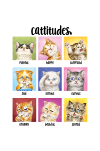 Transfer Cattitudes 