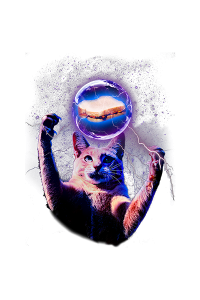 Transfer Pb&j Cat 