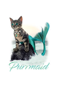 Transfer Purrmaid 