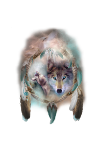 Transfer Wolf Dreams 