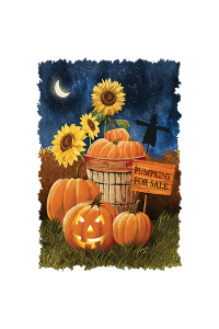 Transfer Pumpkins For Sale 