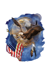 Transfer Dc_flight For Freedom 