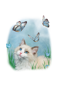 Transfer Ragdoll And Butterflies 