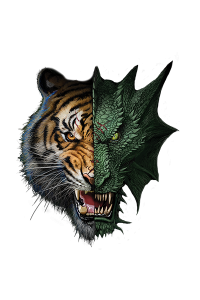 Transfer Half Dragon Tiger 