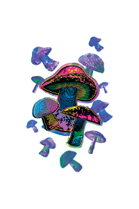 Transfer Colorful Mushrooms 