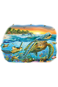 Transfer Underwater Turtles 