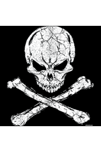 Transfer Skull Crossbones 