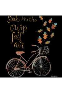 Transfer Fall Air 