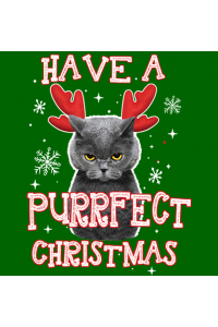 Transfer Purrfect Christmas 