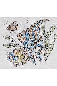 Transfer Tropical Fish 
