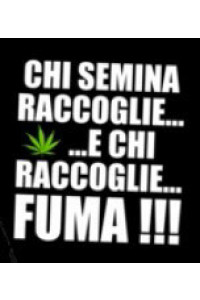 Foglio Transfer Fuma 