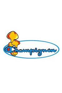 Foglio Transfer Champignon 29x14 