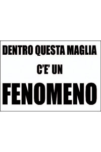 Foglio Transfer Fenomeno Bambino 