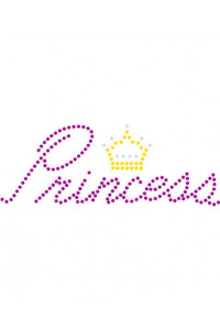 Transfer Princess
