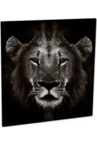 Aluminum Cl Photo Panel White Matte 300 X 300 Mm 