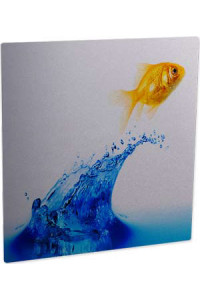 Aluminum Cl Photo Panel Clear Gloss 300 X 300 Mm 