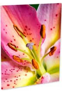 Aluminum Cl Photo Panel White Matte 300 X 400 Mm 