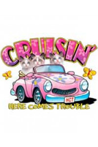 Transfer Cruisin:here Comes Troubl