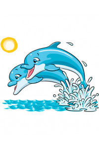 Transfer Two Dolphins Jumping