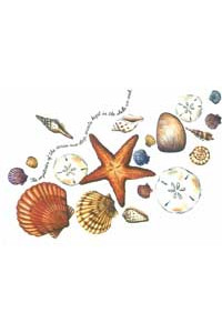Transfer Mysteries Of The Ocean