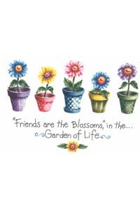 Transfer Garden Of Life