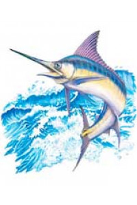 Transfer Marlin