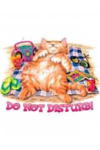 Transfer Do Not Disturb
