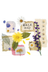 Transfer Walk In My Garden