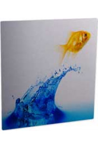 Aluminum Cl Photo Panel Clear Gloss 203,2x203,2 Mm 