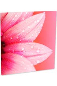 Al Cl Photo Panel White Semi-gloss 101,6 X 101,6mm 