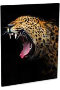 Al Cl Photo Panel White Semi-gloss 279,4 X 355,6mm 