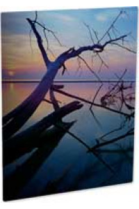 Al Cl Photo Panel Clear Semi-gloss 203,2x254 Mm 