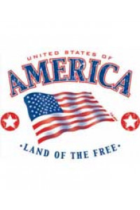Transfer Usa Flag-land Of The Free