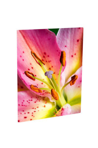 Aluminum Cl Photo Panel White Gloss 1200x1200 Mm 