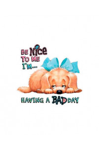 Transfer Be Nice To Me-bad Day