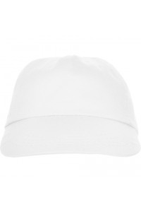 5 Panels Cap. 