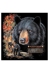 Transfer Black Bear