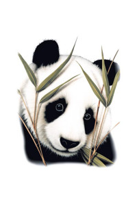 Transfer Panda Head