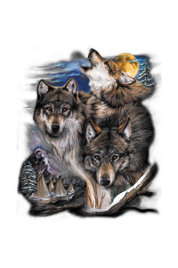 Transfer Wolves & Village