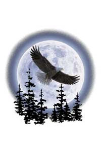 Transfer Eagle Moon