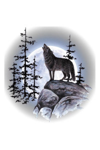 Transfer Wolf Moon