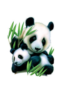 Transfer Panda & Cub