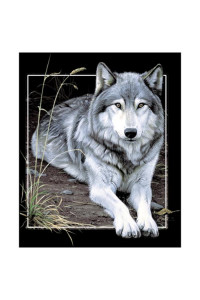 Transfer Wolf Portrait
