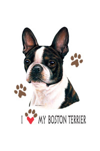 Transfer Boston Terrier