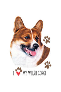 Transfer Welsh Corgi
