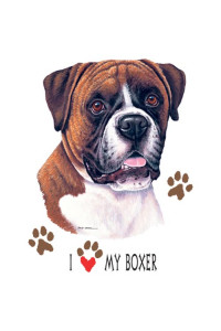 Transfer My Boxer