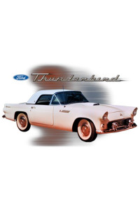 Transfer 55 Thunderbird