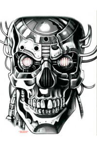 Transfer Cyborg