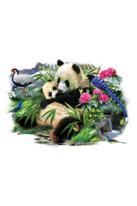 Transfer Panda Hug
